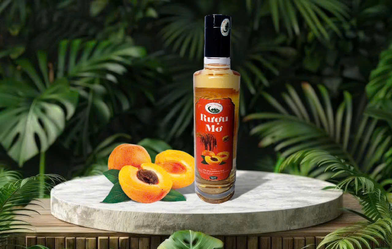 c12ad08c4f42c51c9c532